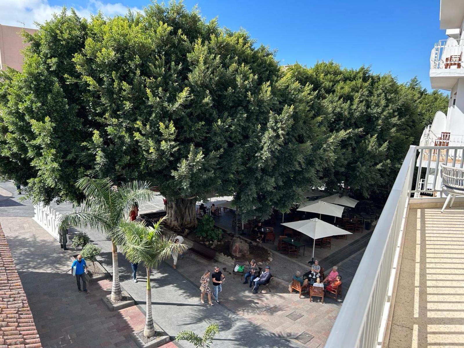 Appartamento Vista Plaza - Exceptional Location Los Llanos De Aridane Esterno foto
